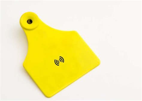 animal rfid reader|rfid technology for animal tracking.